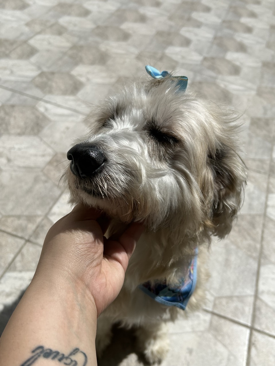 Trabalho de Giovana da — foto 3