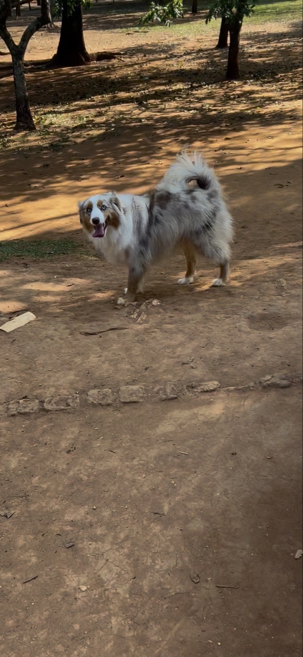 Trabalho de Giovana da — foto 4