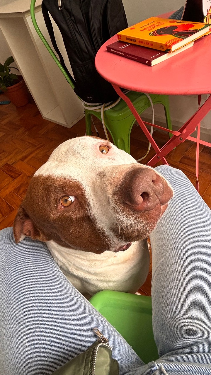 Trabalho de Cássia Dalila — foto 1