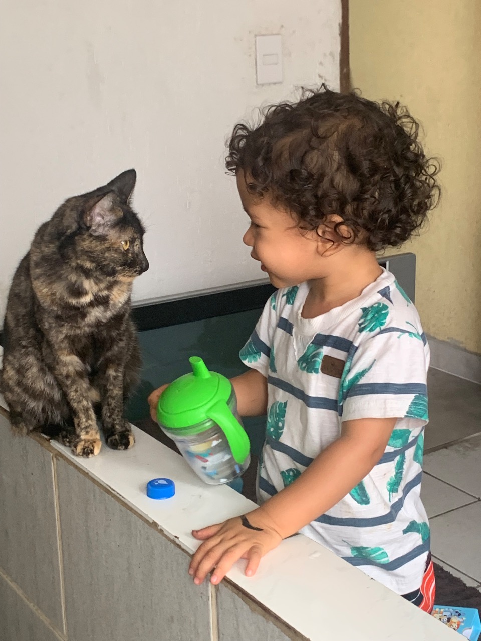 Trabalho de Paula Christiny — foto 1