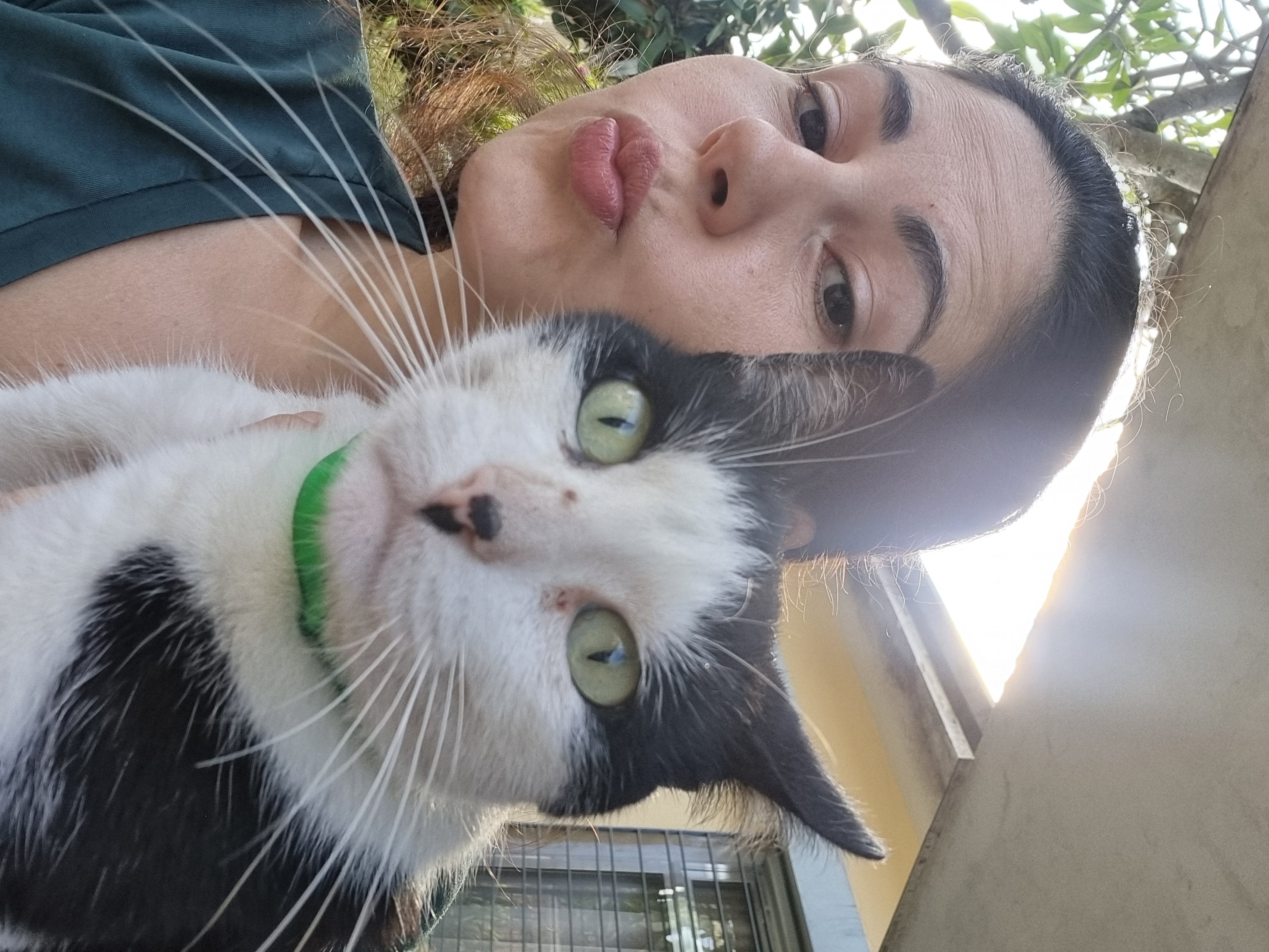 Capa Camila Lapa de Barros