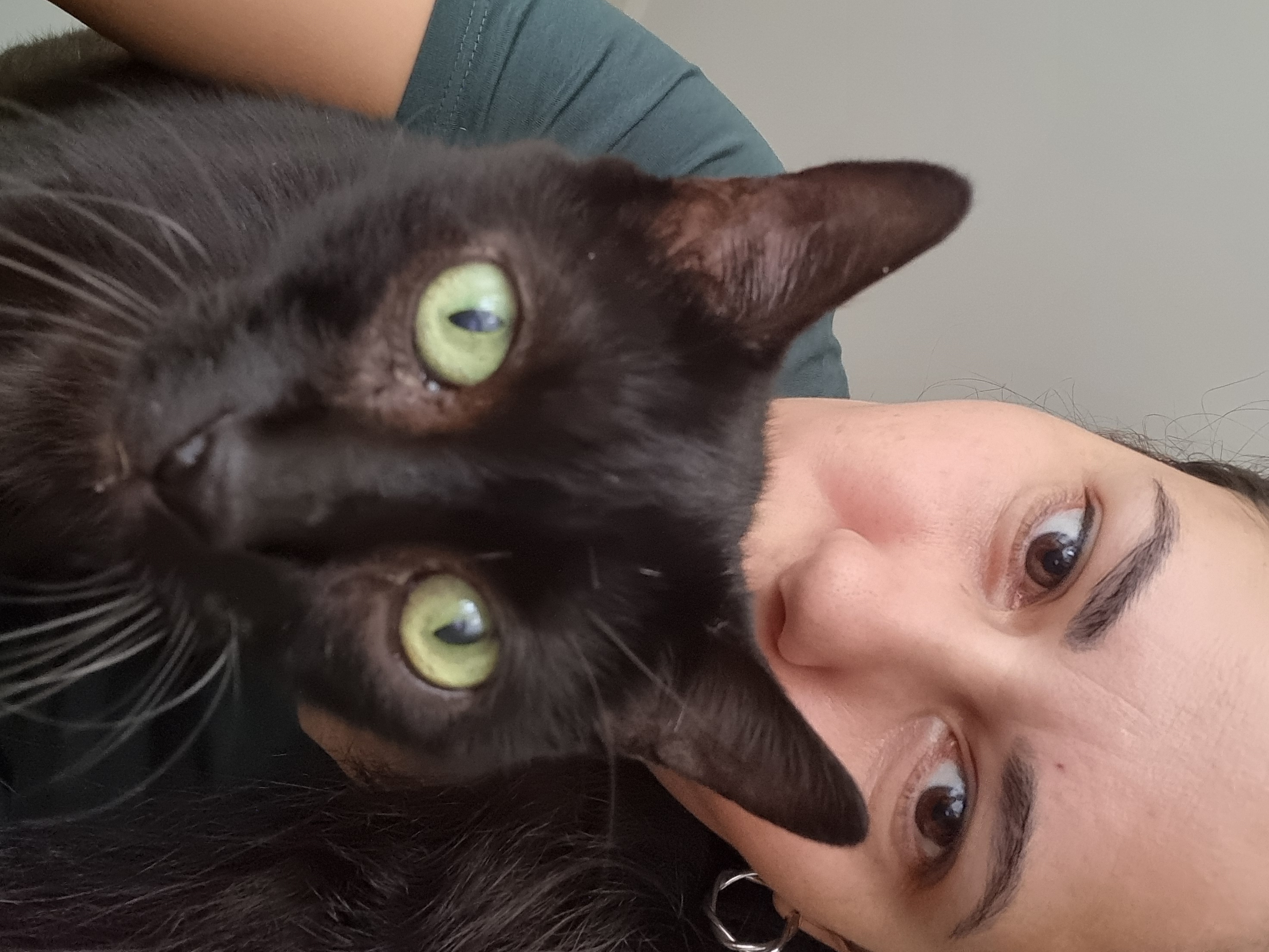 Galeria Camila Lapa de Barros