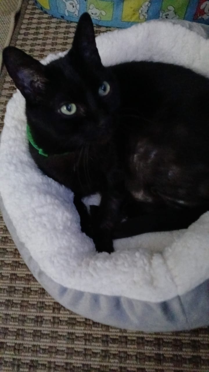 Galeria Camila Lapa de Barros