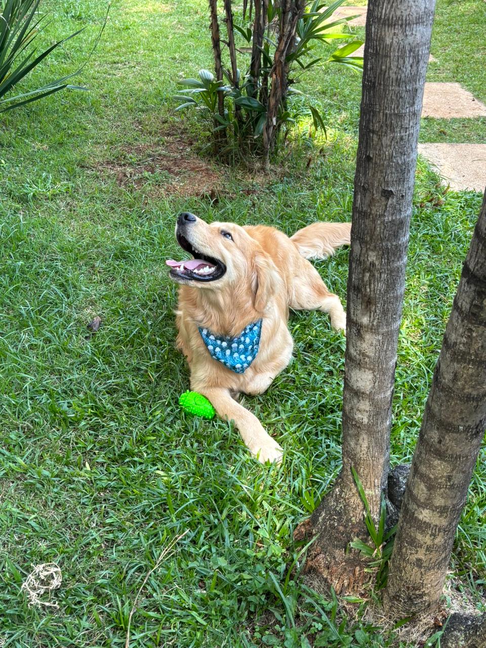 Galeria Camila Lapa de Barros
