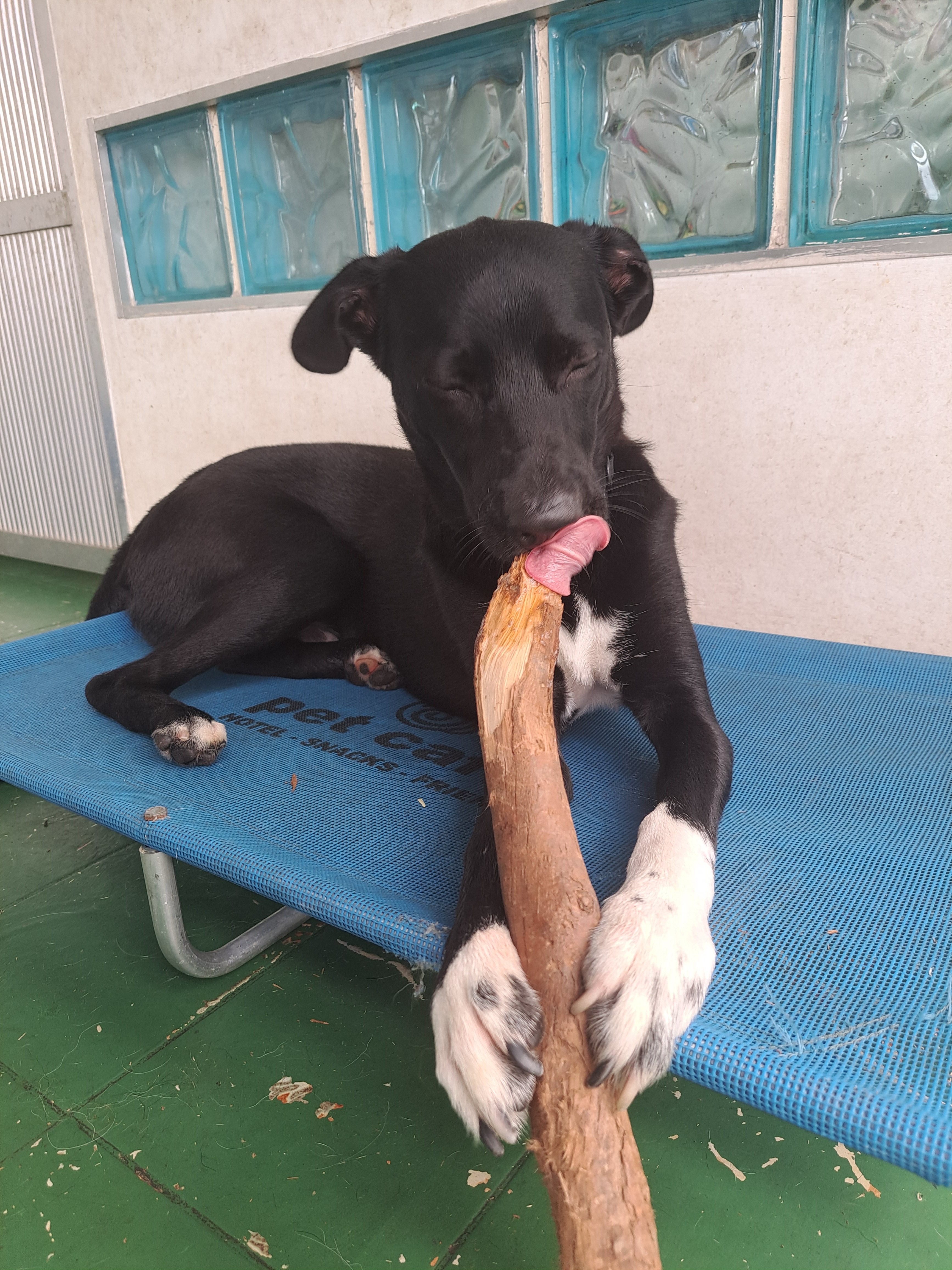 Trabalho de Sandy Elisa — foto 4