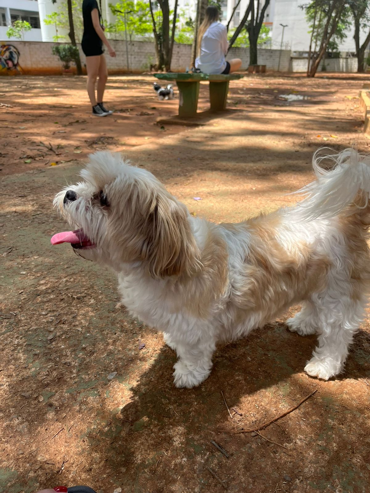 Galeria STHEFANY CAROLINA DE PAULA