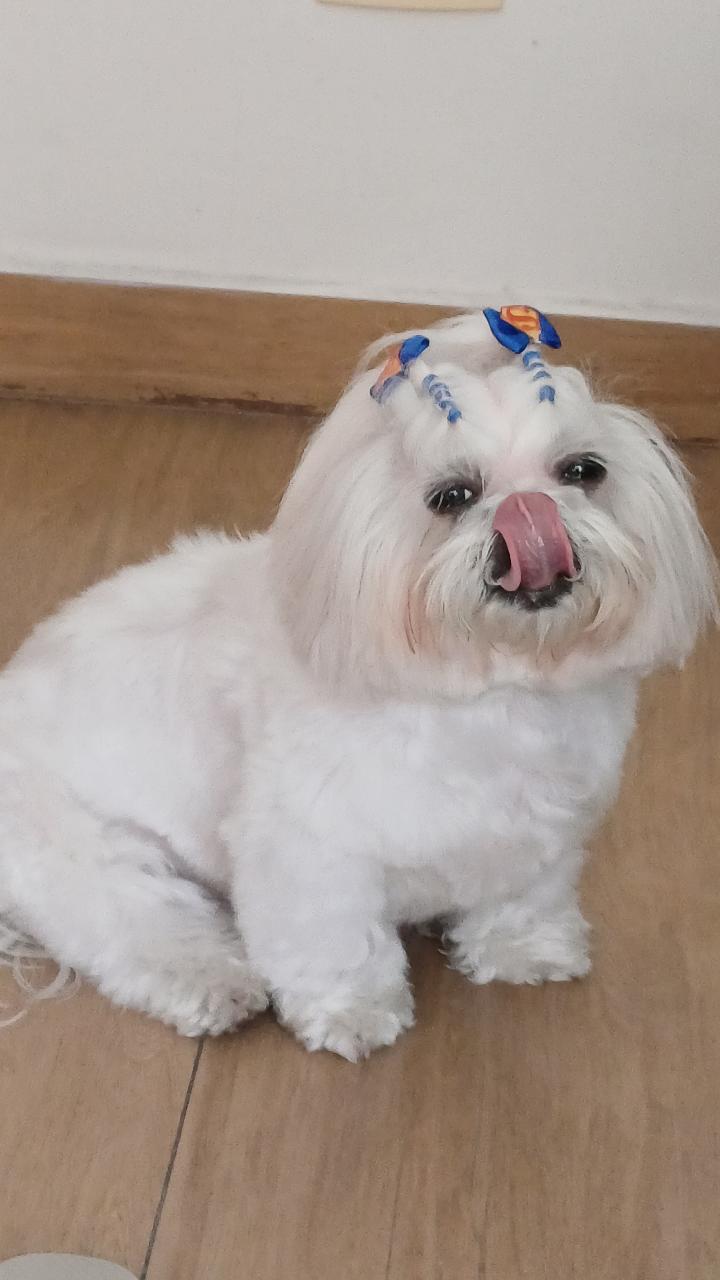Trabalho de Erica Casemiro — foto 1