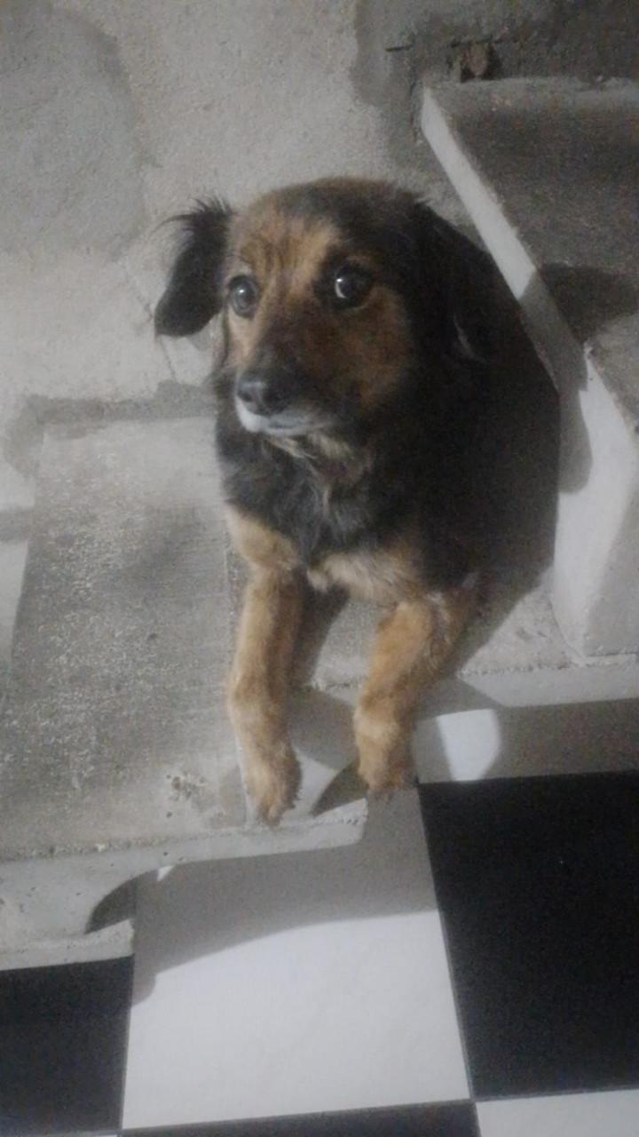 Trabalho de Erica Casemiro — foto 2
