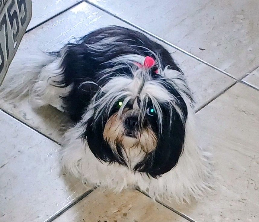 Trabalho de Erica Casemiro — foto 4
