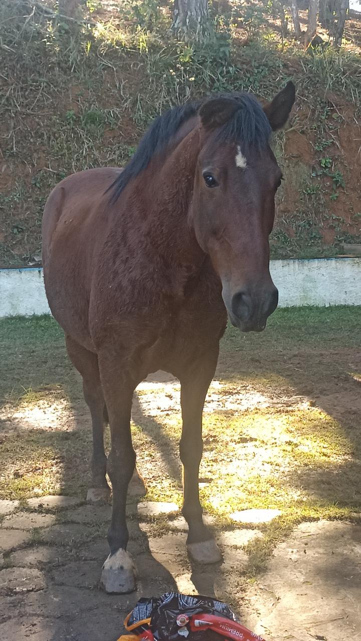Trabalho de Bruna Maciel — foto 6