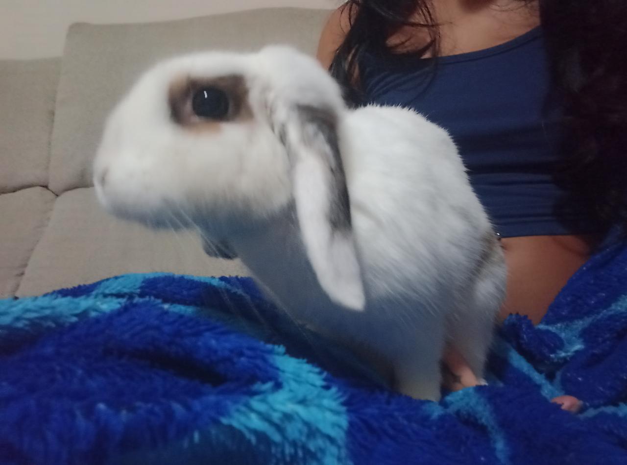 Trabalho de Bruna Maciel — foto 9