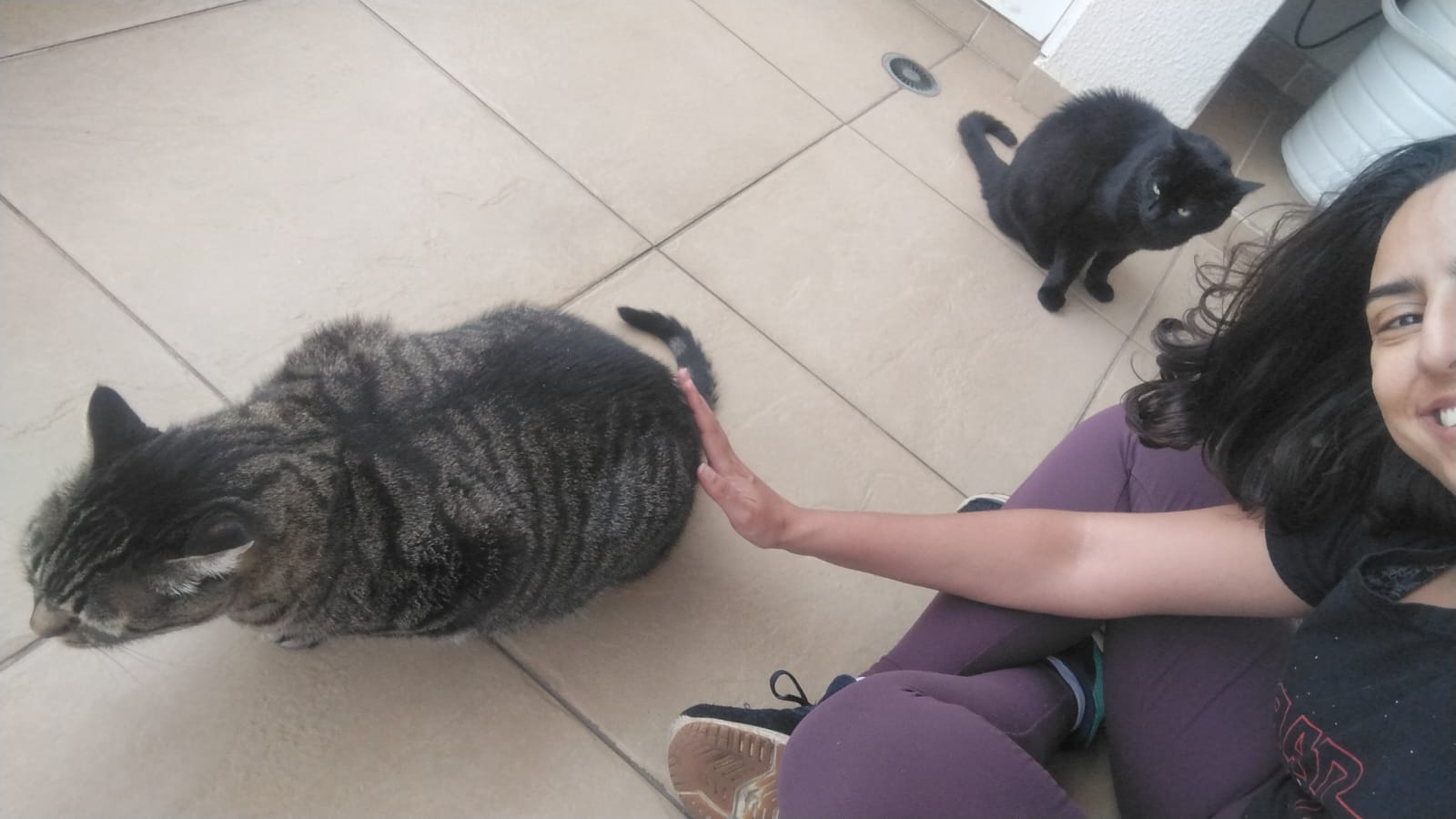 Galeria Eveline Macedo