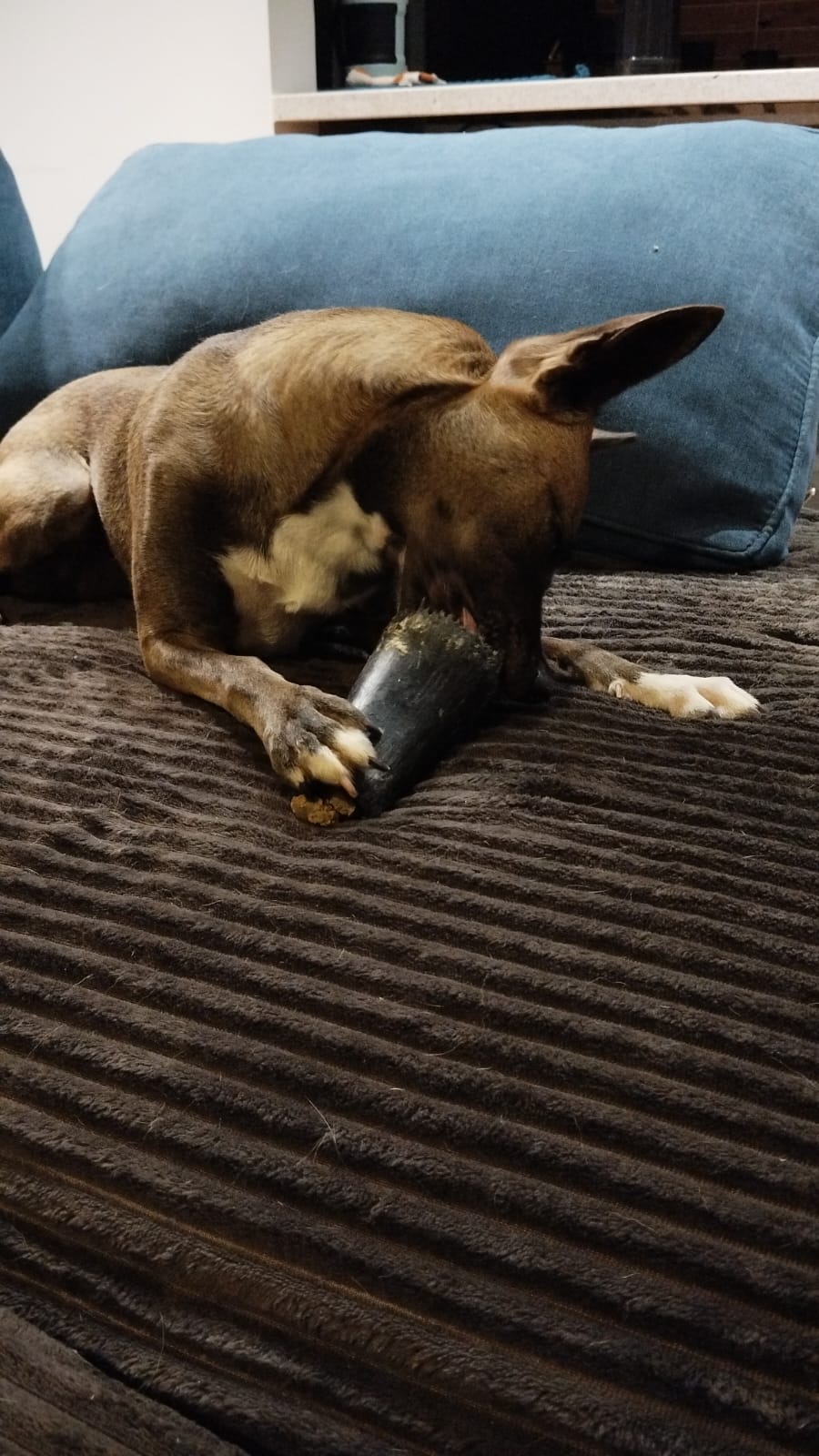 Galeria Eveline Macedo