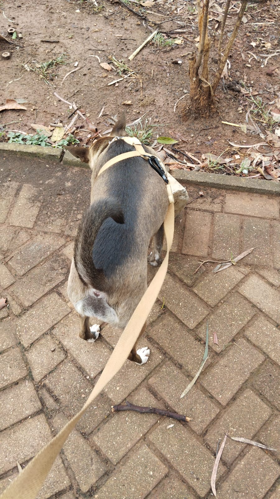 Galeria Eveline Macedo