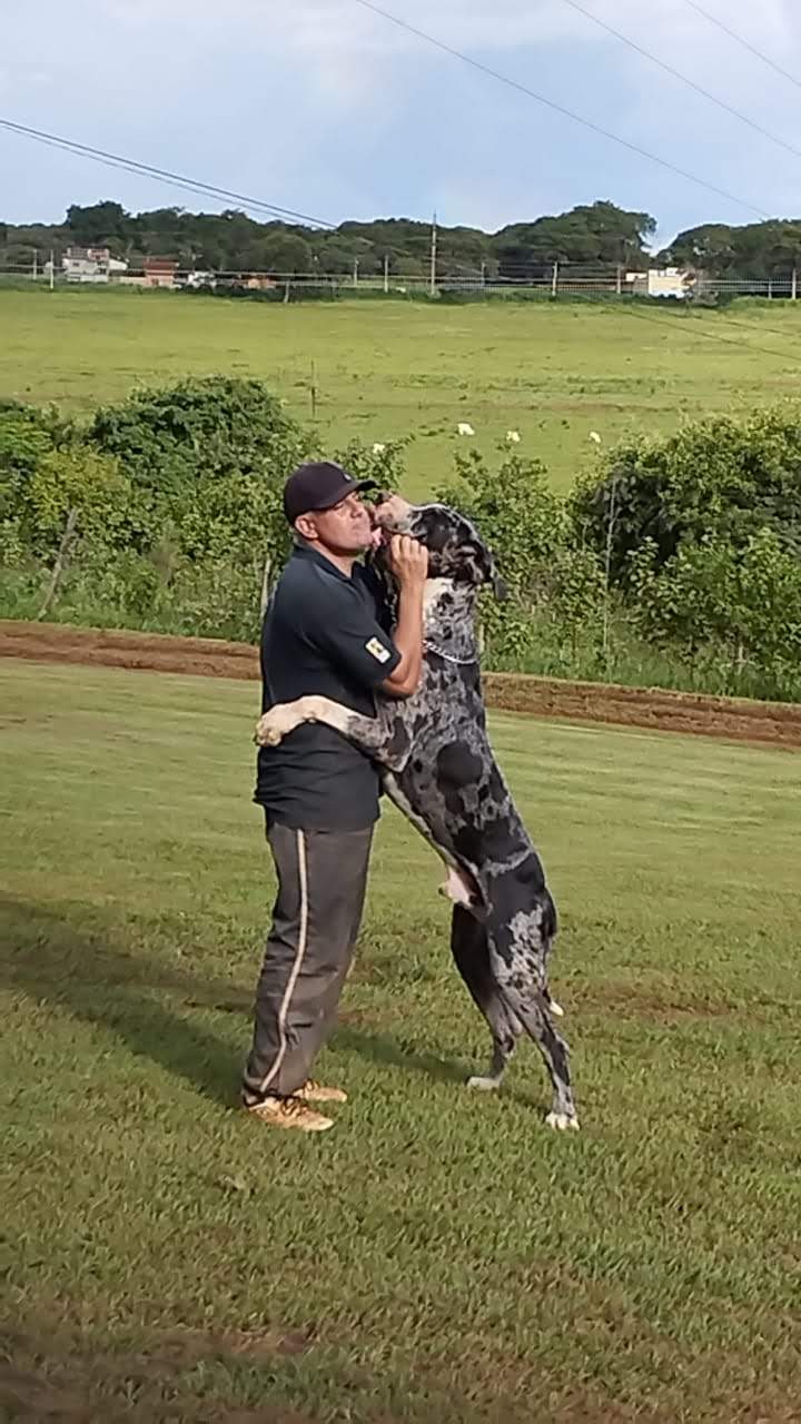 Capa Silvano Vargas De Oliveira