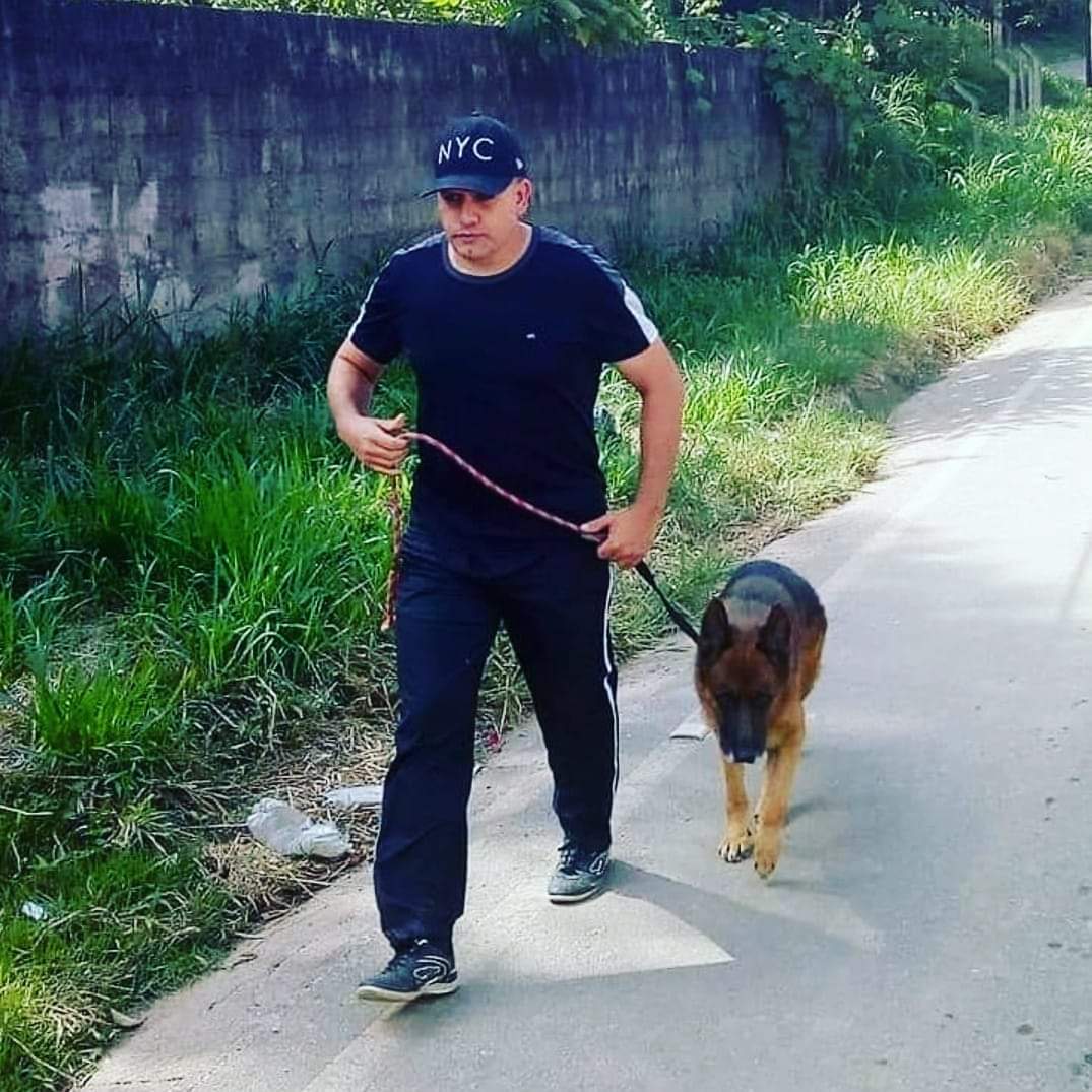 Galeria Silvano Vargas De Oliveira