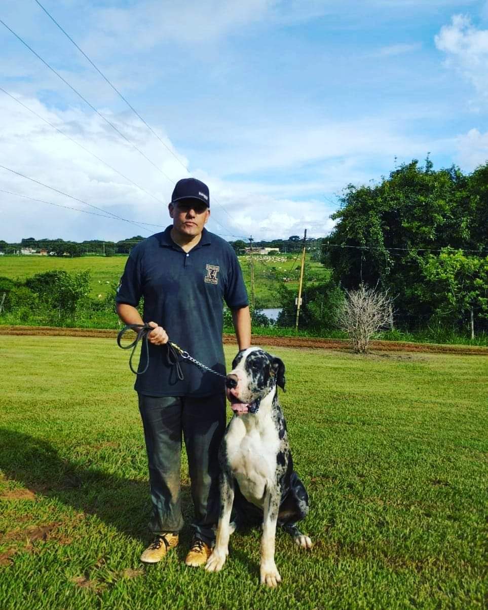 Galeria Silvano Vargas De Oliveira