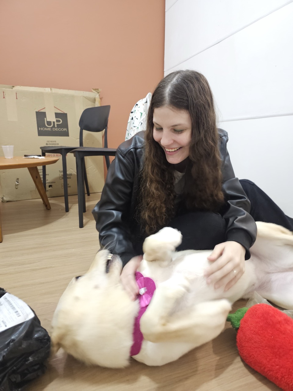 Trabalho de Giulia Knoplich — foto 1