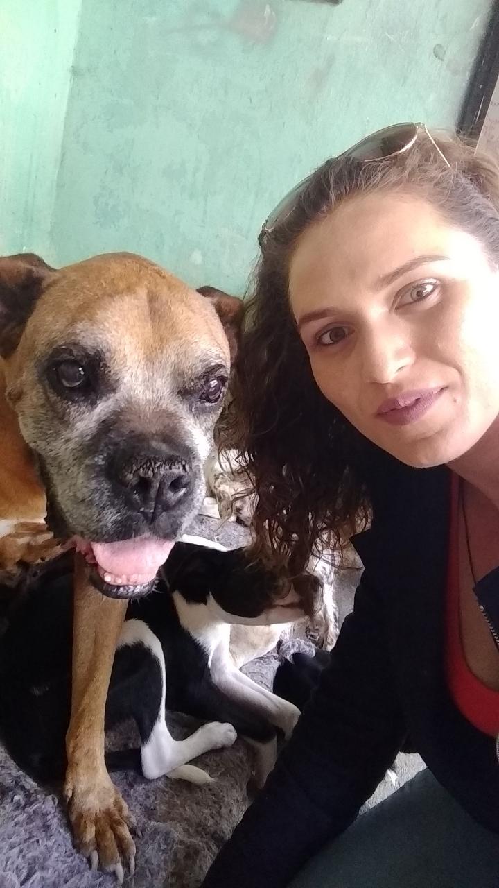 Trabalho de Tuane Pet — foto 10