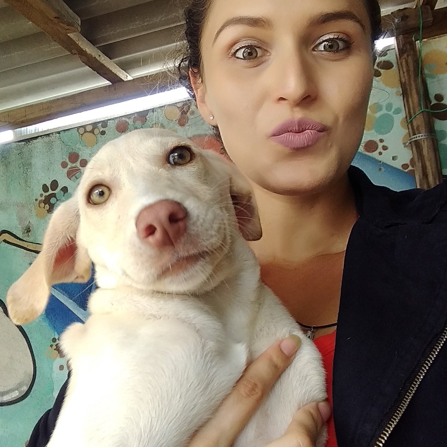 Foto de Tuane Pet