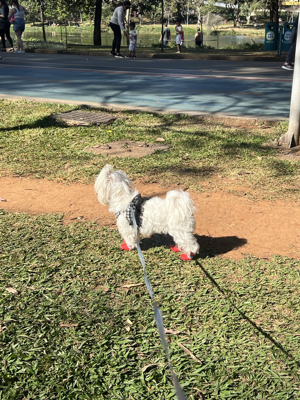 Trabalho de Yeza Pâmela — foto 11