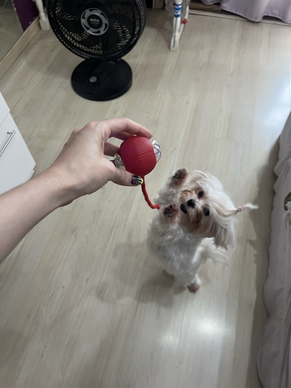 Trabalho de Yeza Pâmela — foto 6