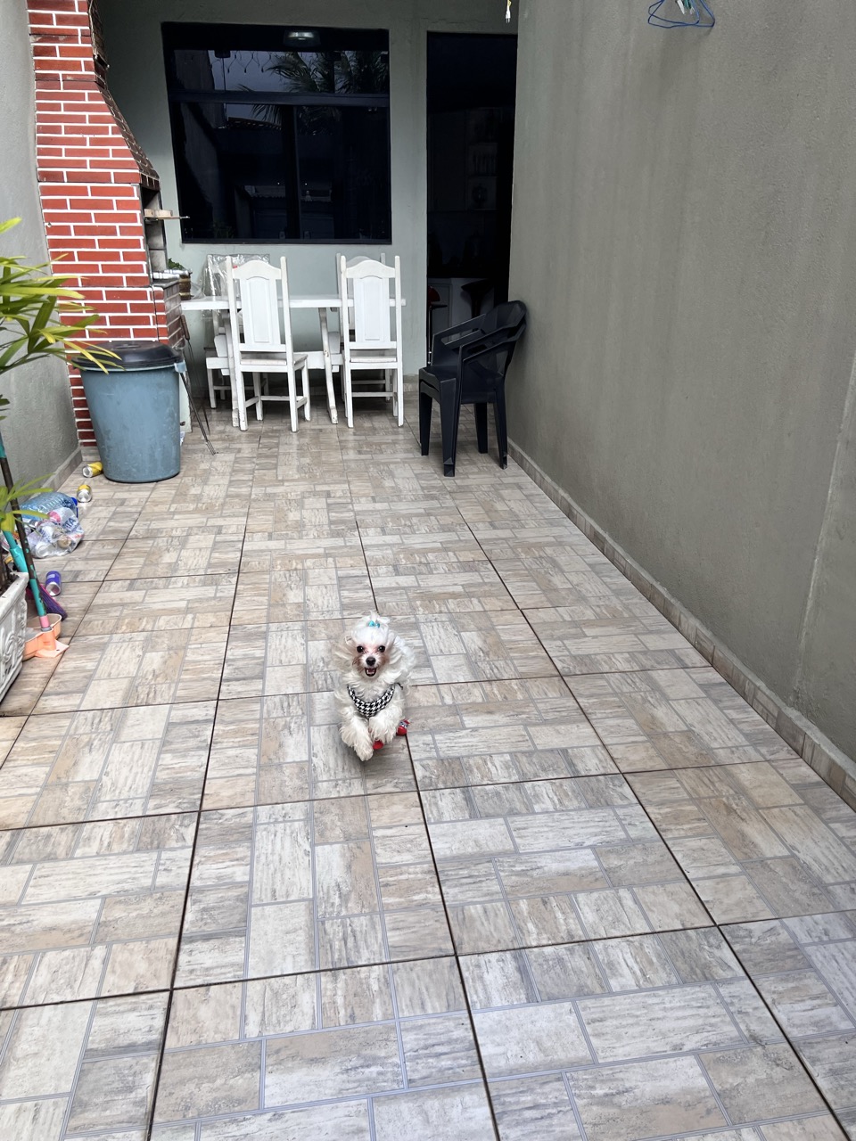 Trabalho de Yeza Pâmela — foto 7