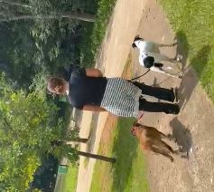 Galeria Bruna Aparecida Reis Sousa de Paula