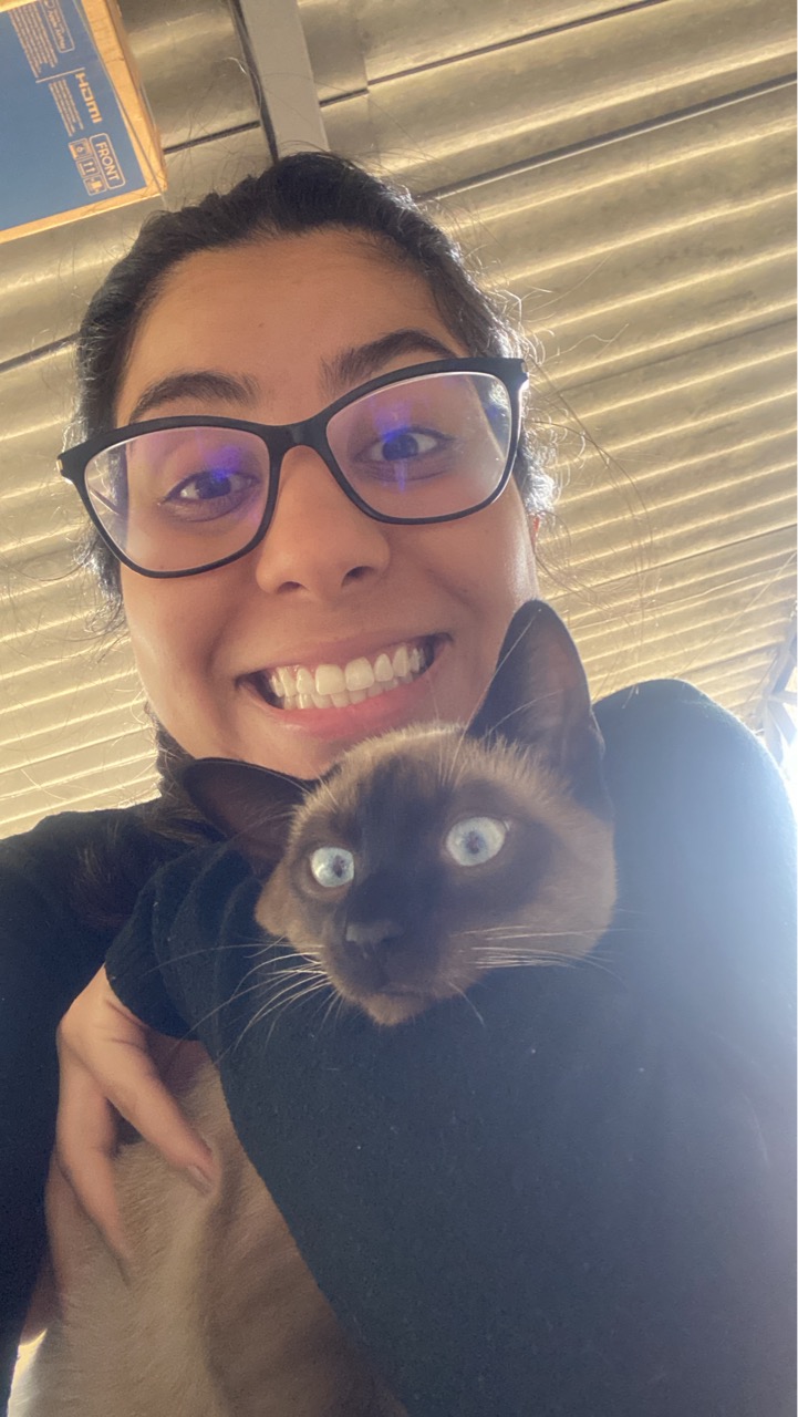 Trabalho de Gabriela Mota — foto 5