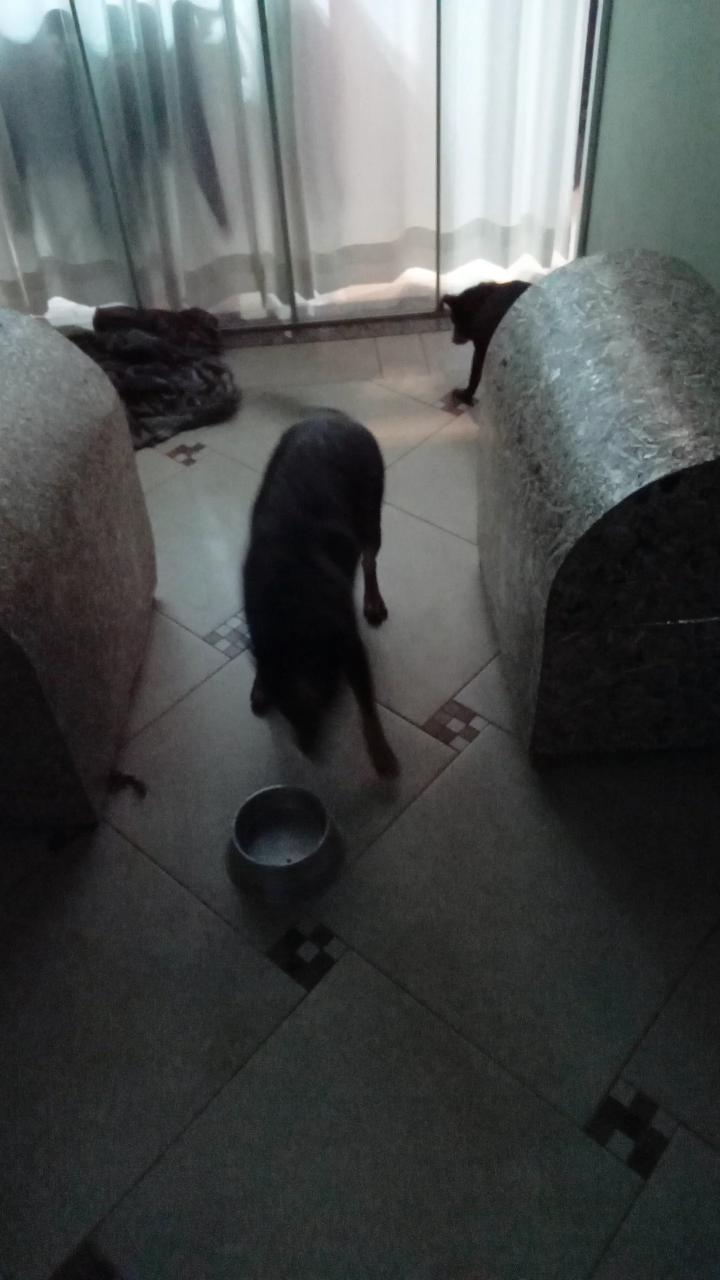 Trabalho de Barbara Mota — foto 2