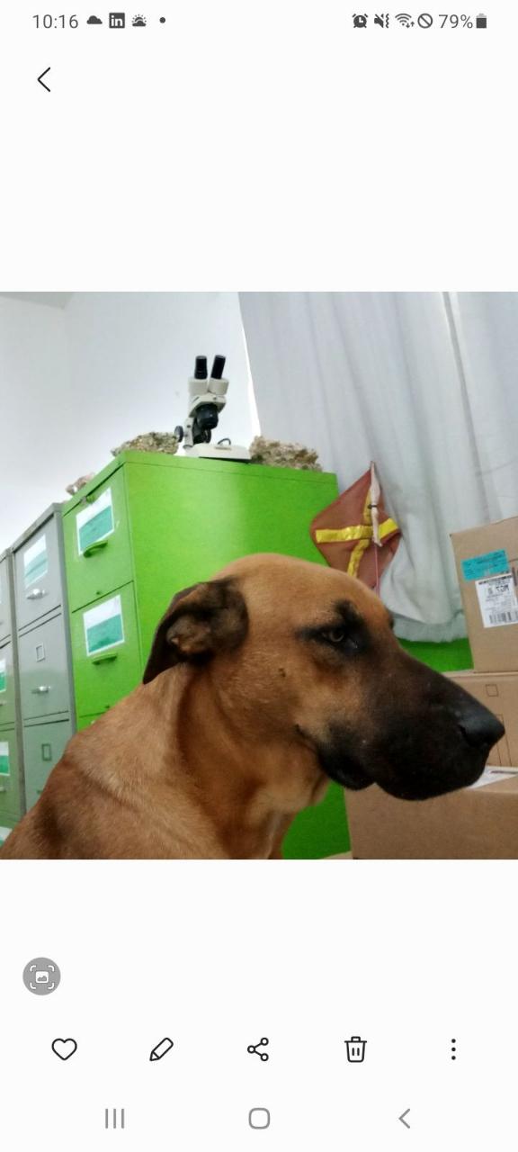 Trabalho de Leonardo Coelho — foto 1