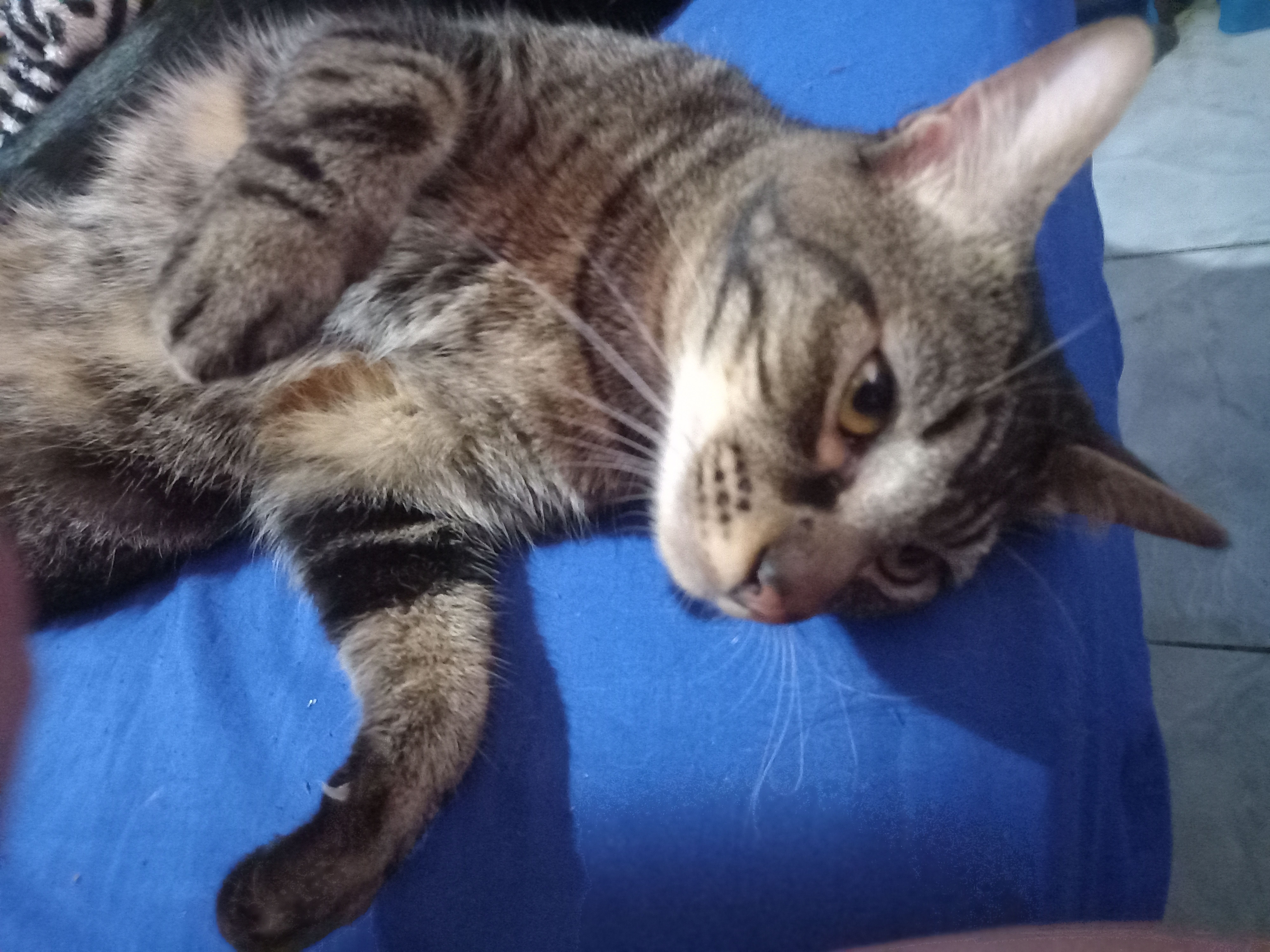 Trabalho de Larissa de — foto 3