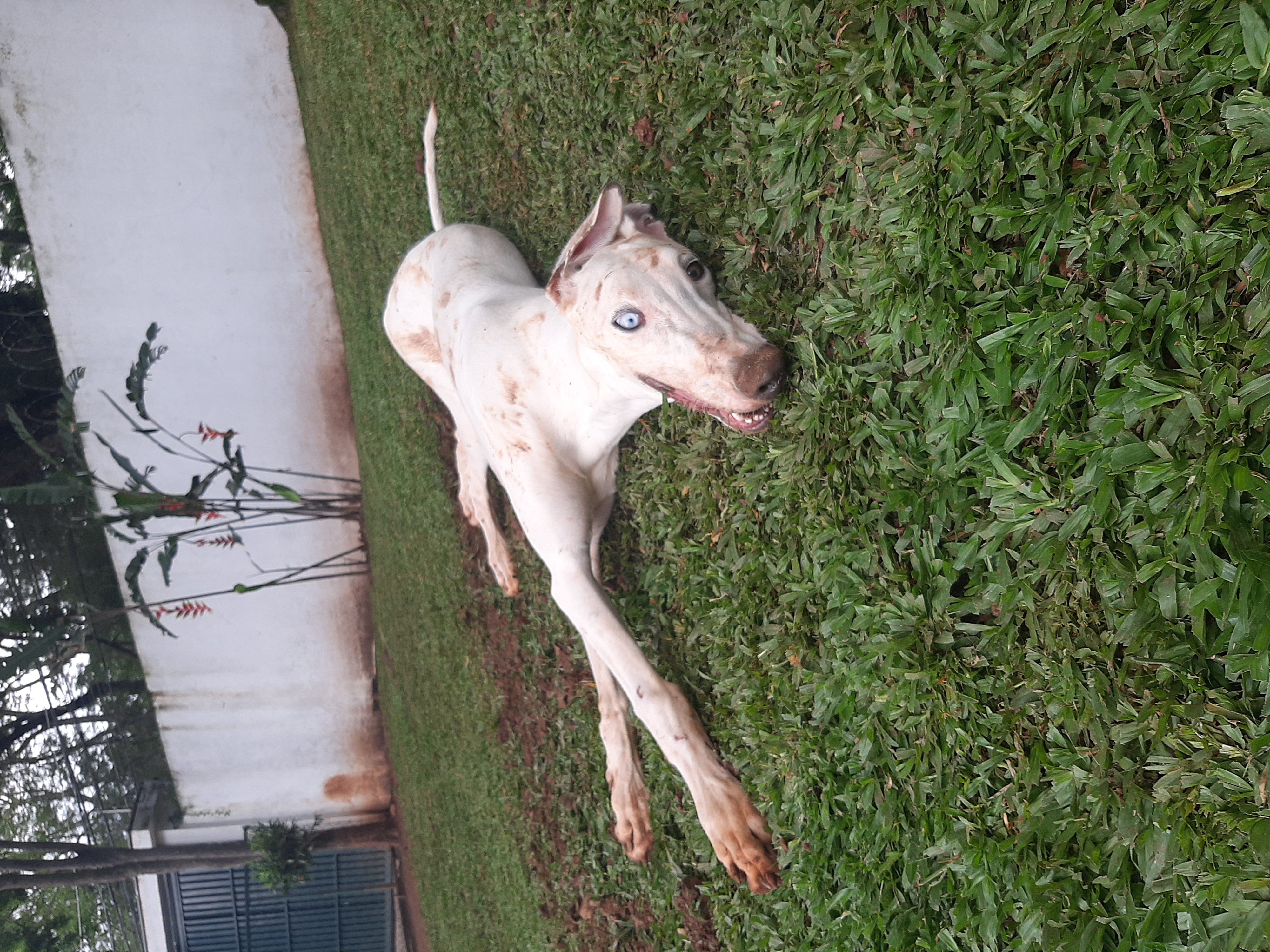 Trabalho de Giovanna Pinheiro — foto 12