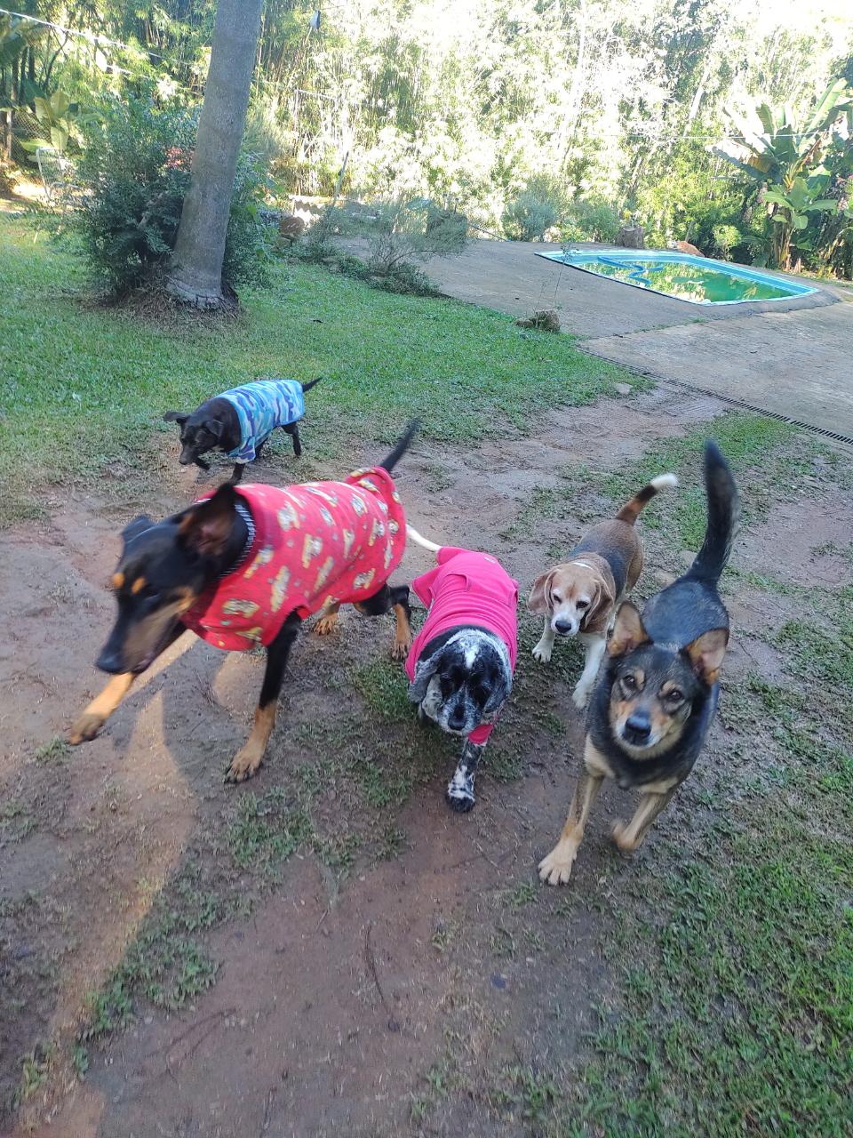 Trabalho de Simone Cristina — foto 3