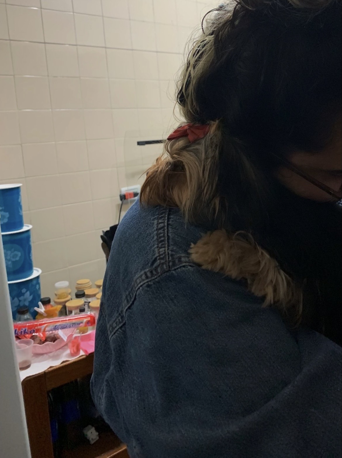 Galeria Camila Aparecida Faria Gonçalves