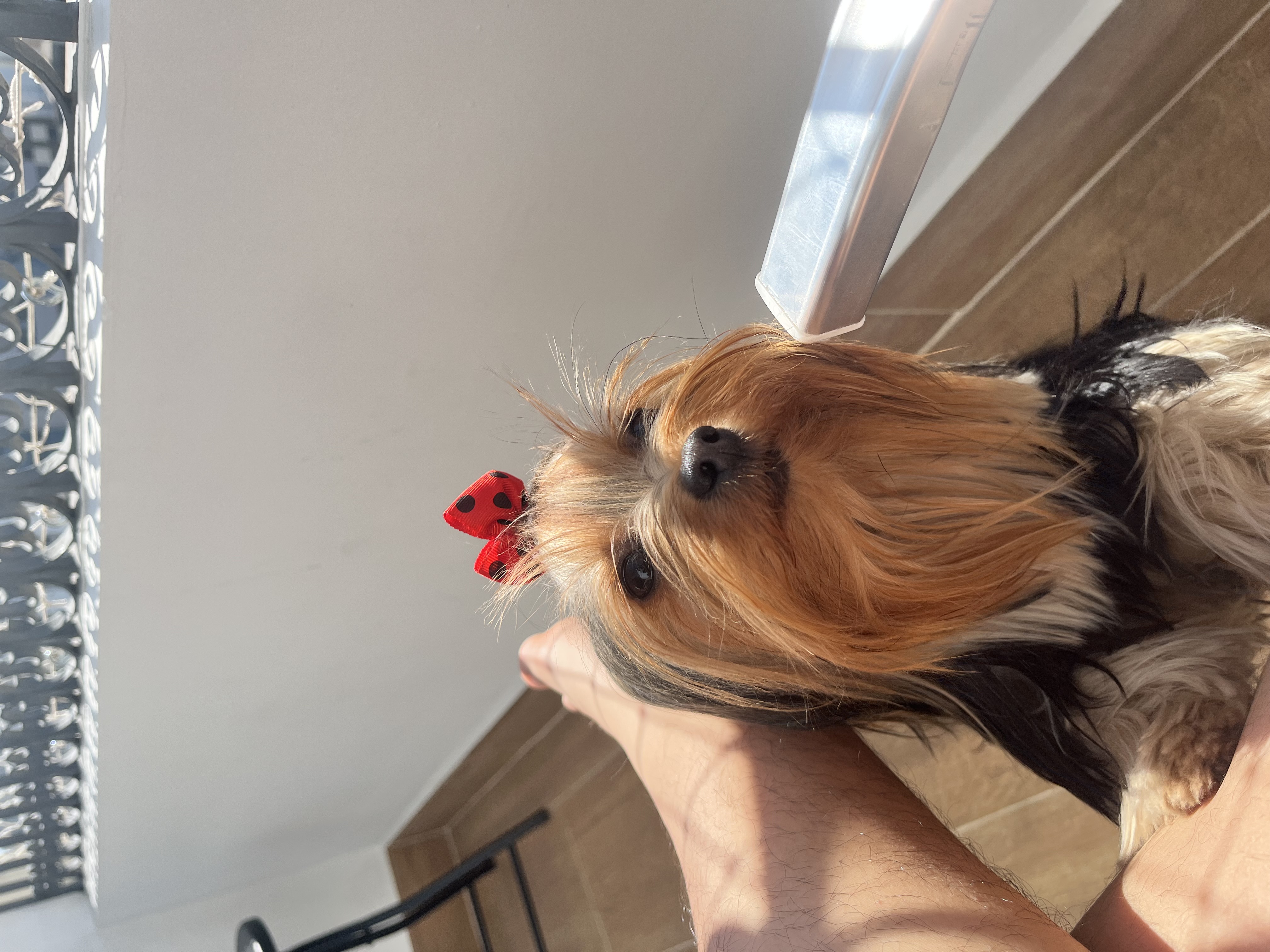 Galeria Camila Aparecida Faria Gonçalves