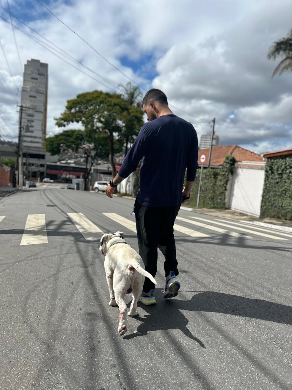 Trabalho de Luis Guilherme — foto 12