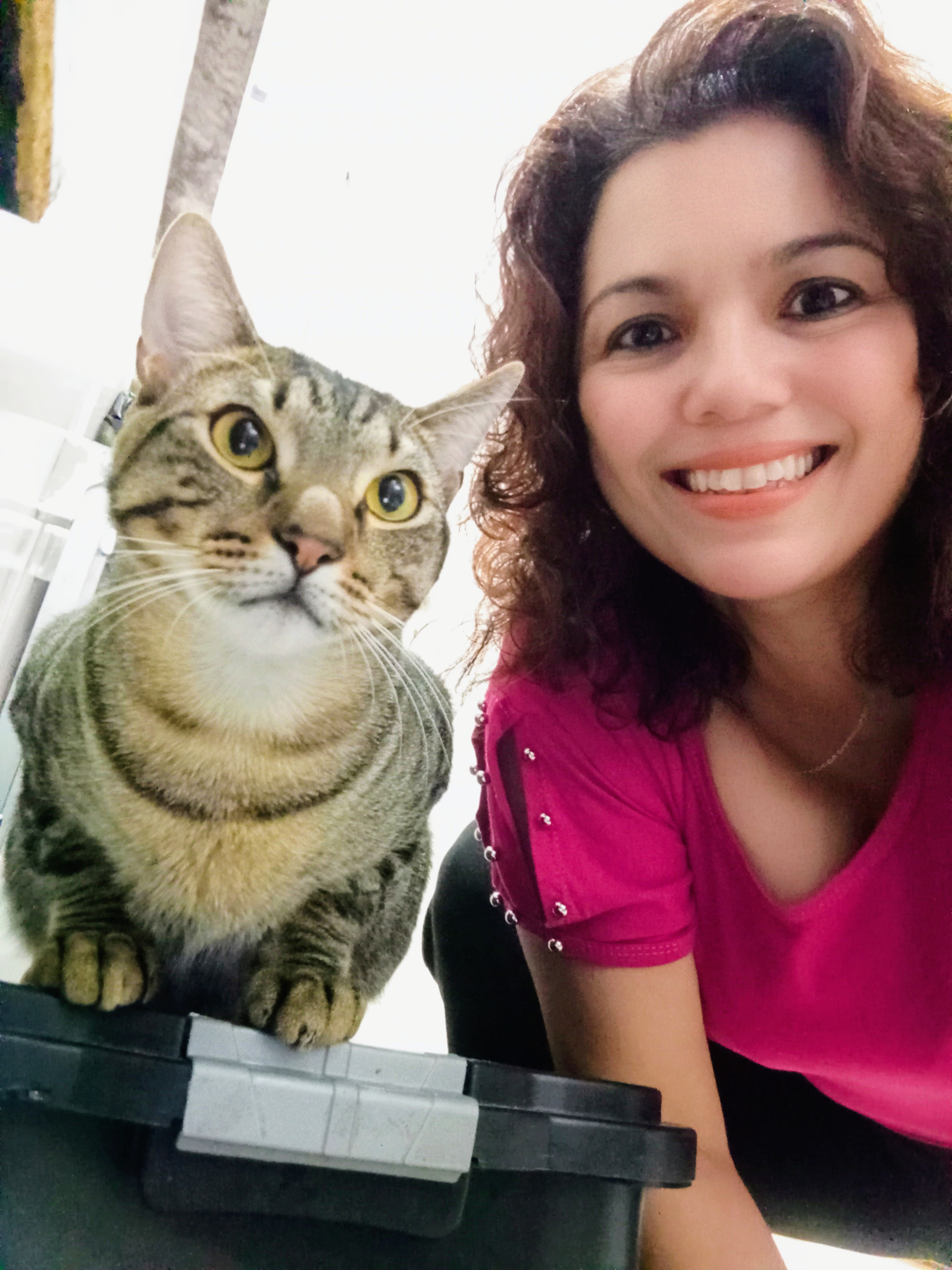 Capa Gisele Aparecida Dias