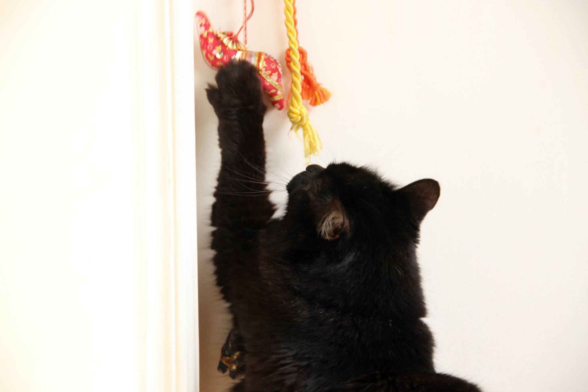 Galeria Márika d'Almeida e Souza