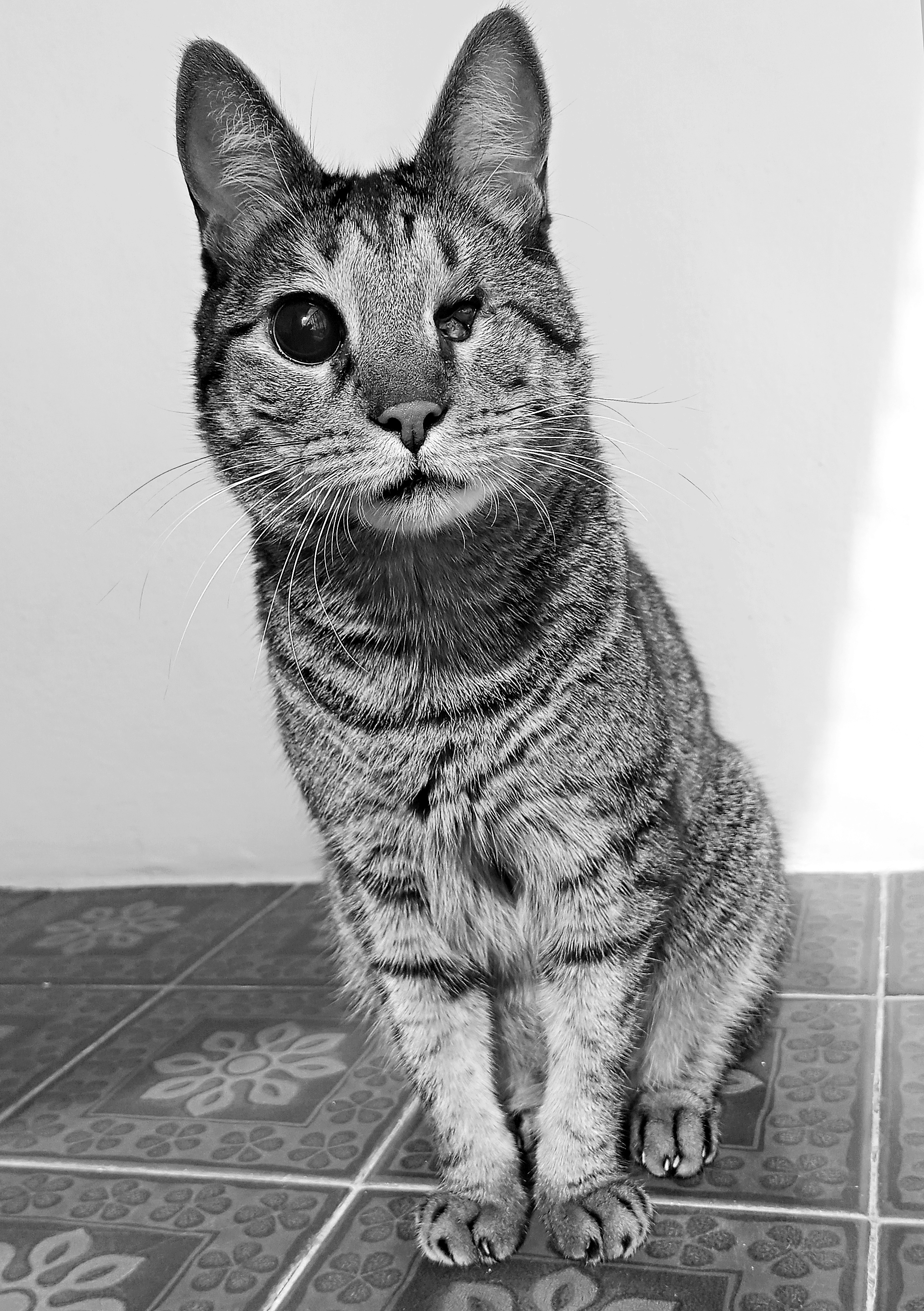 Galeria Márika d'Almeida e Souza