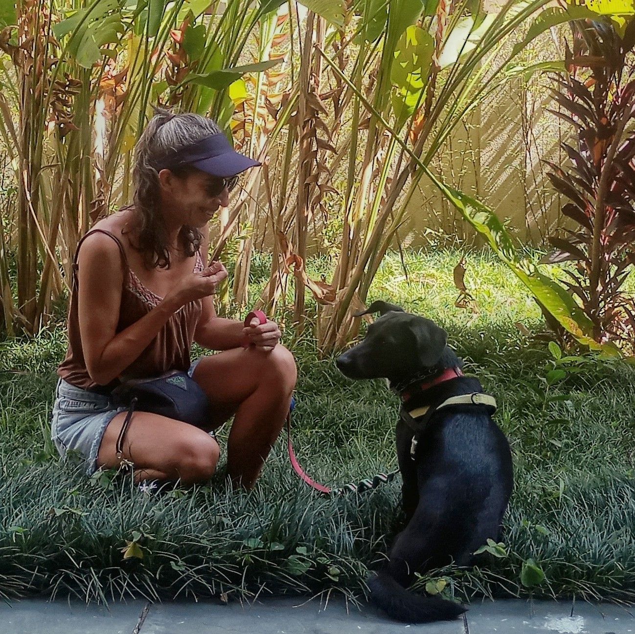 Galeria Márika Souza