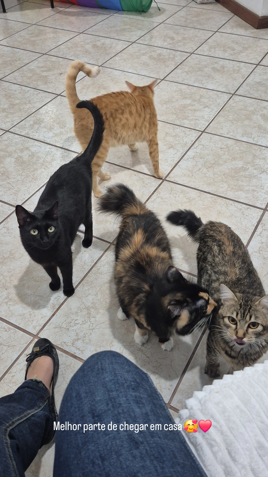 Galeria HELLEN AGUIAR