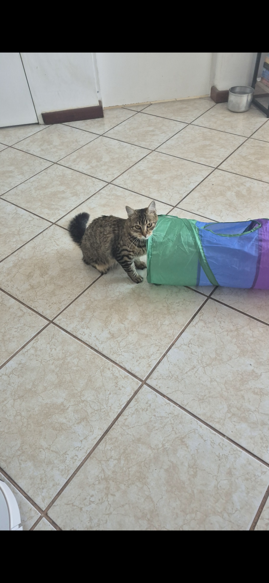 Galeria HELLEN AGUIAR