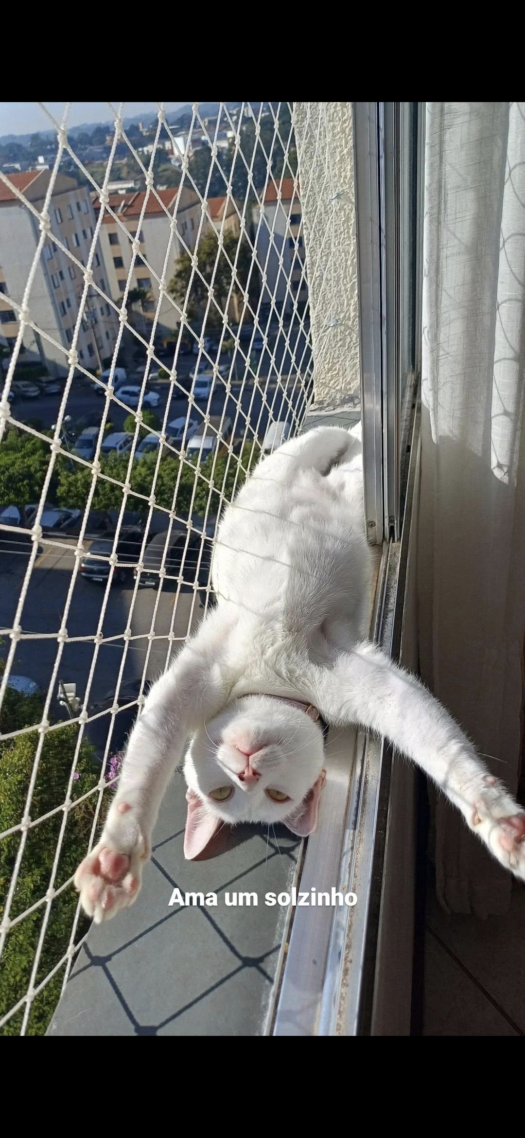 Galeria HELLEN AGUIAR