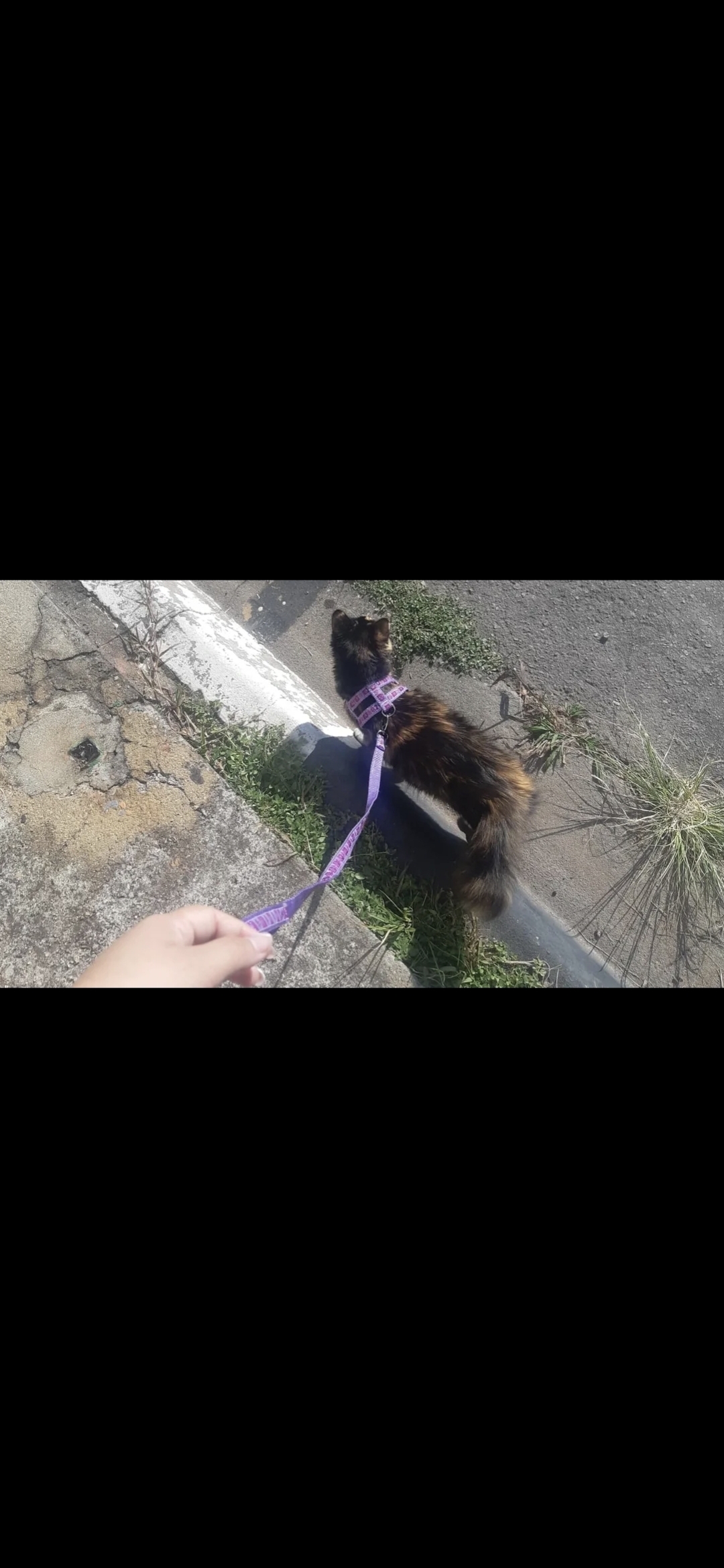 Galeria HELLEN AGUIAR