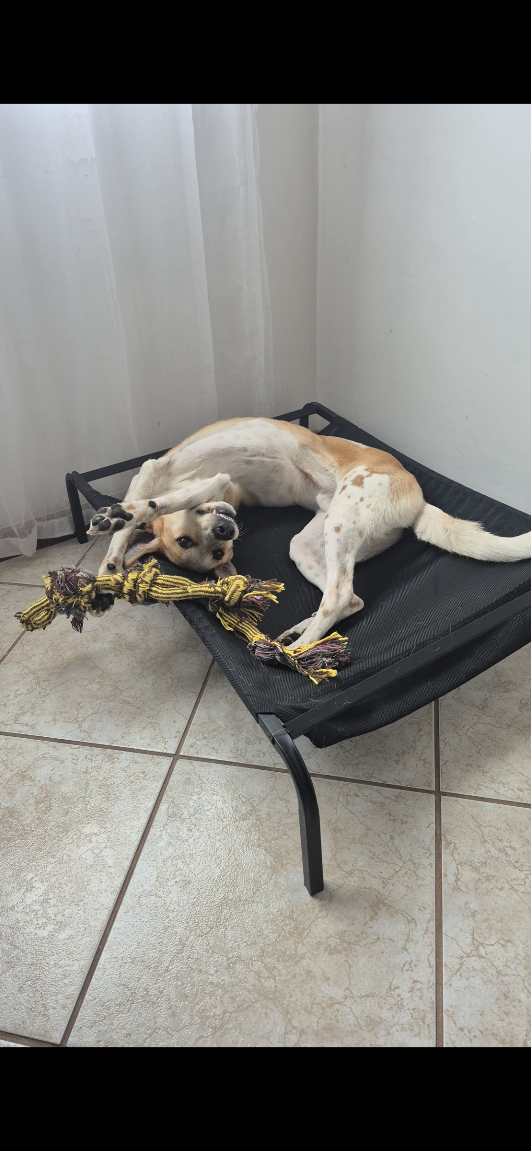 Galeria HELLEN AGUIAR