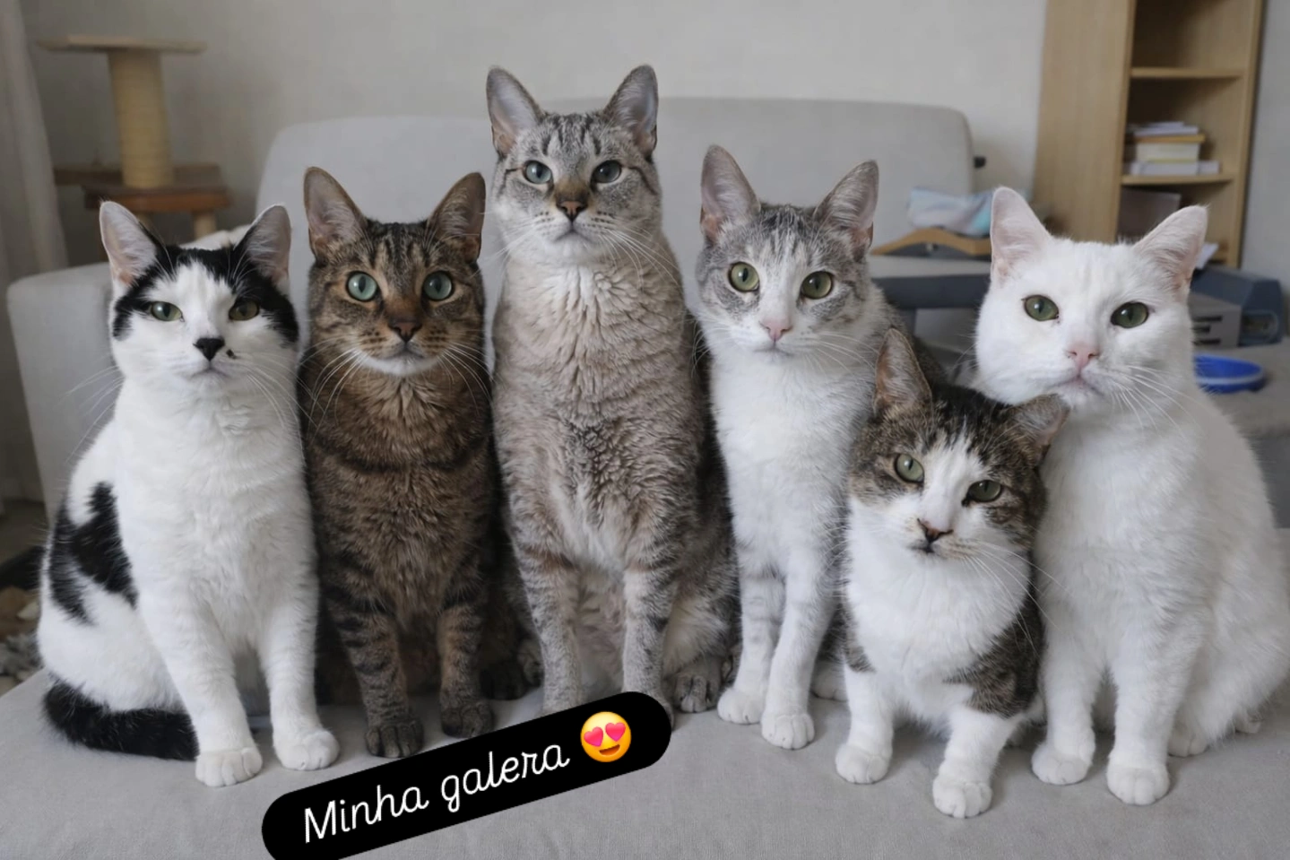 Galeria Gláucia Joana Batista