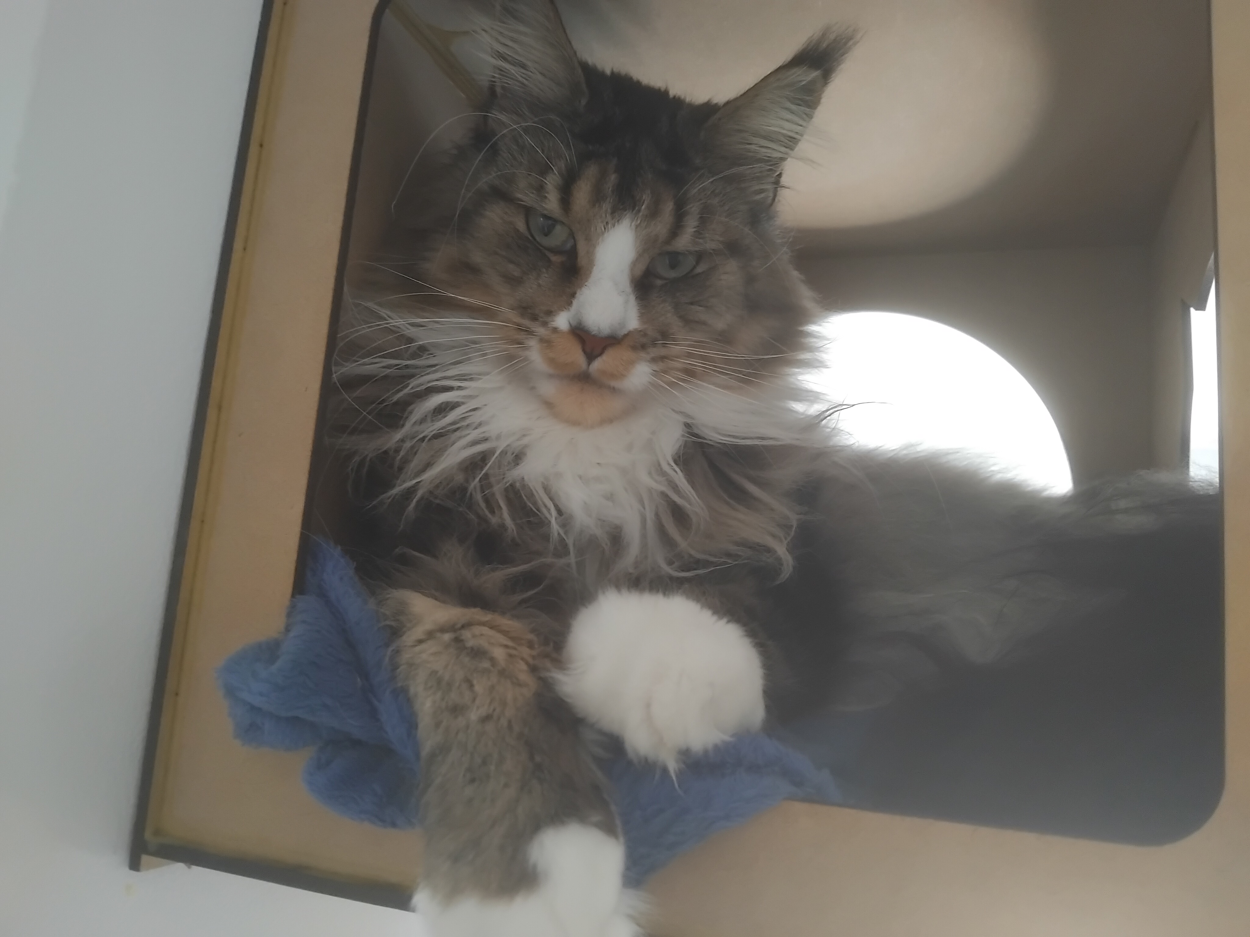 Galeria Gláucia Joana Batista