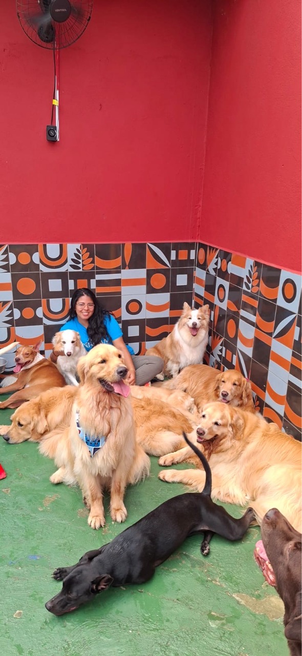 Trabalho de Isabella Souza — foto 1