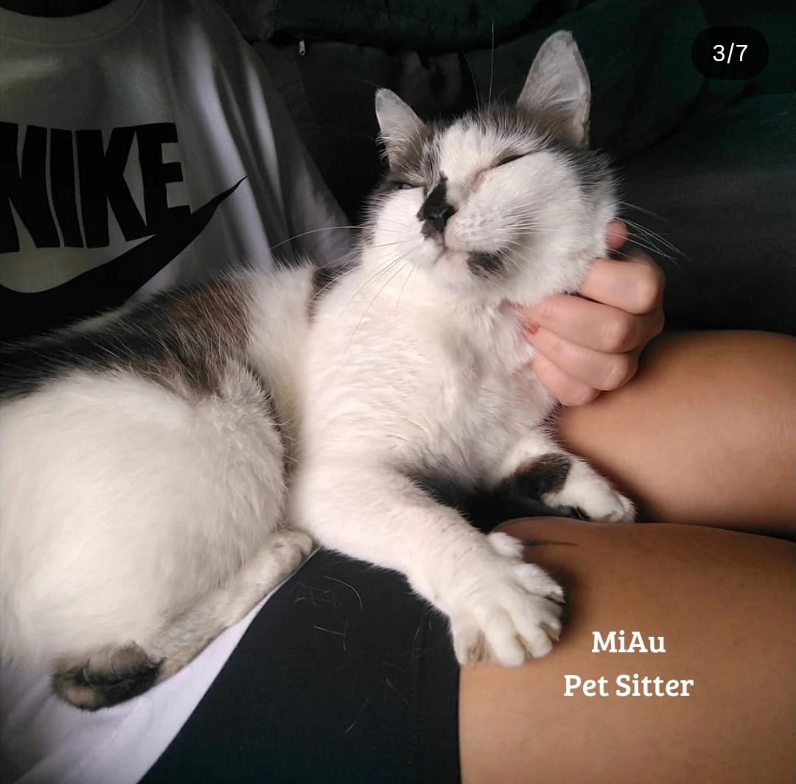 Galeria ALINE GHYSIO ANDRIOTTI